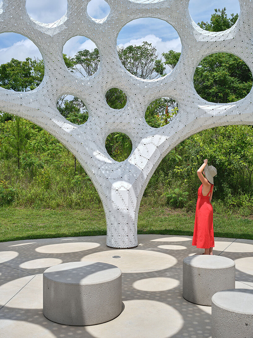 theverymany moonrise