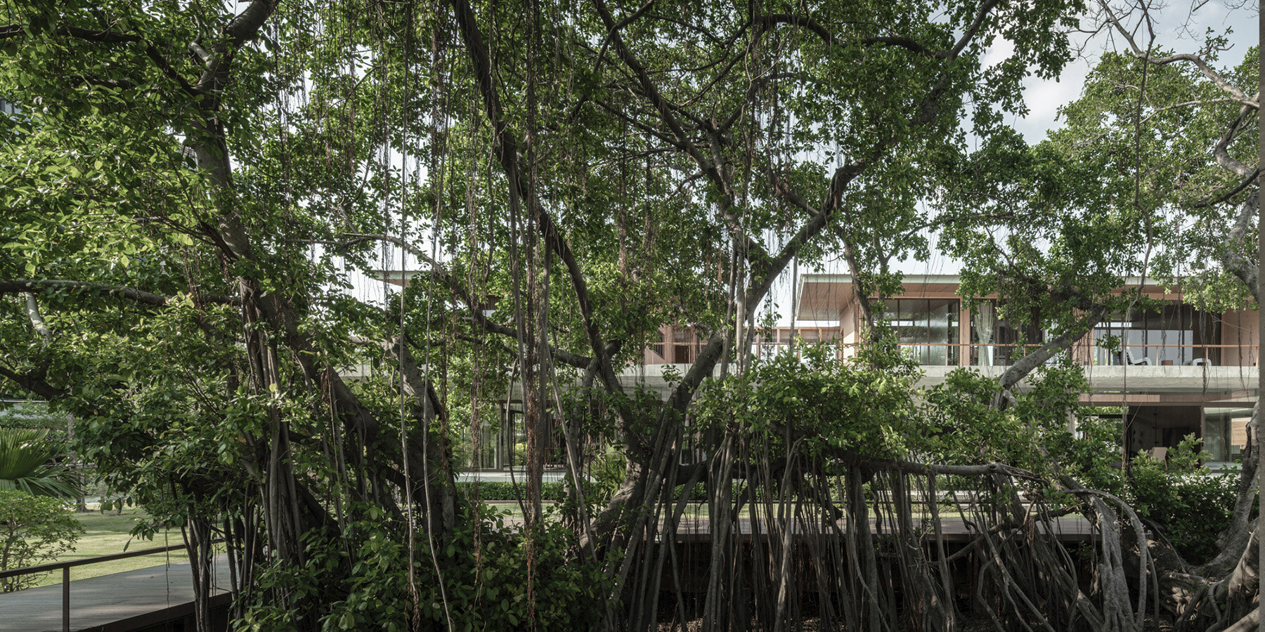saikhoo-house-anonym-studio-samut-prakarn-thailand-banyan-trees-designboom-1800-2