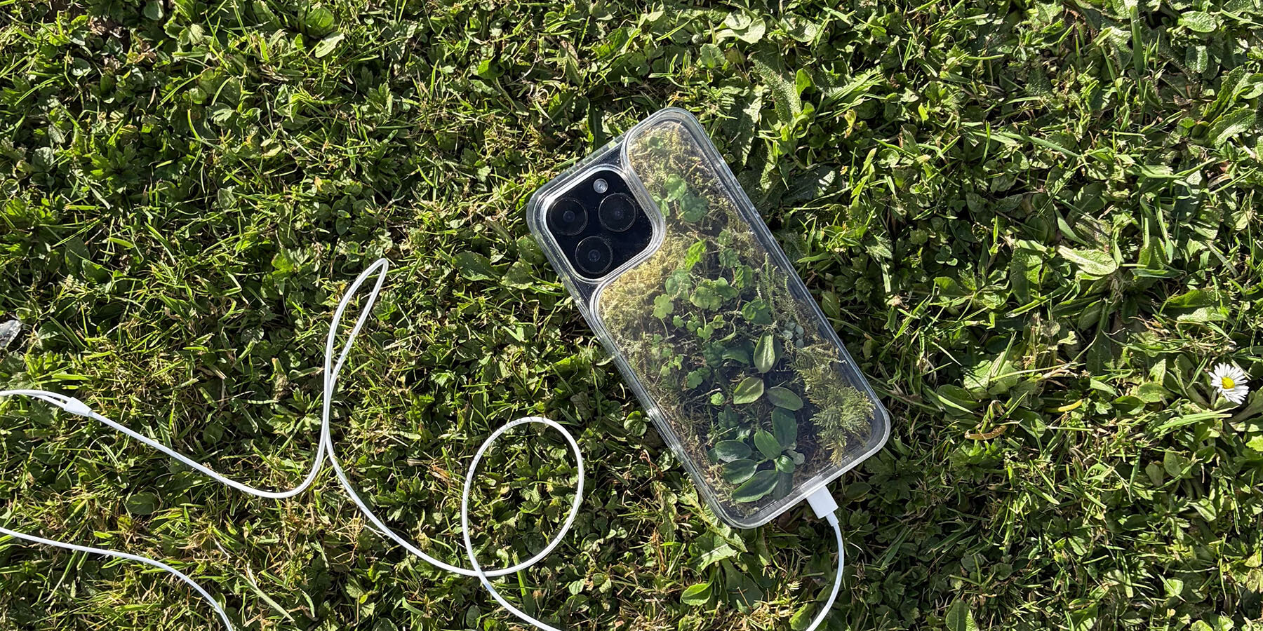 terrarium-phone-case-daniel-idle-planted-environment-smartphone-designboom-1800-2