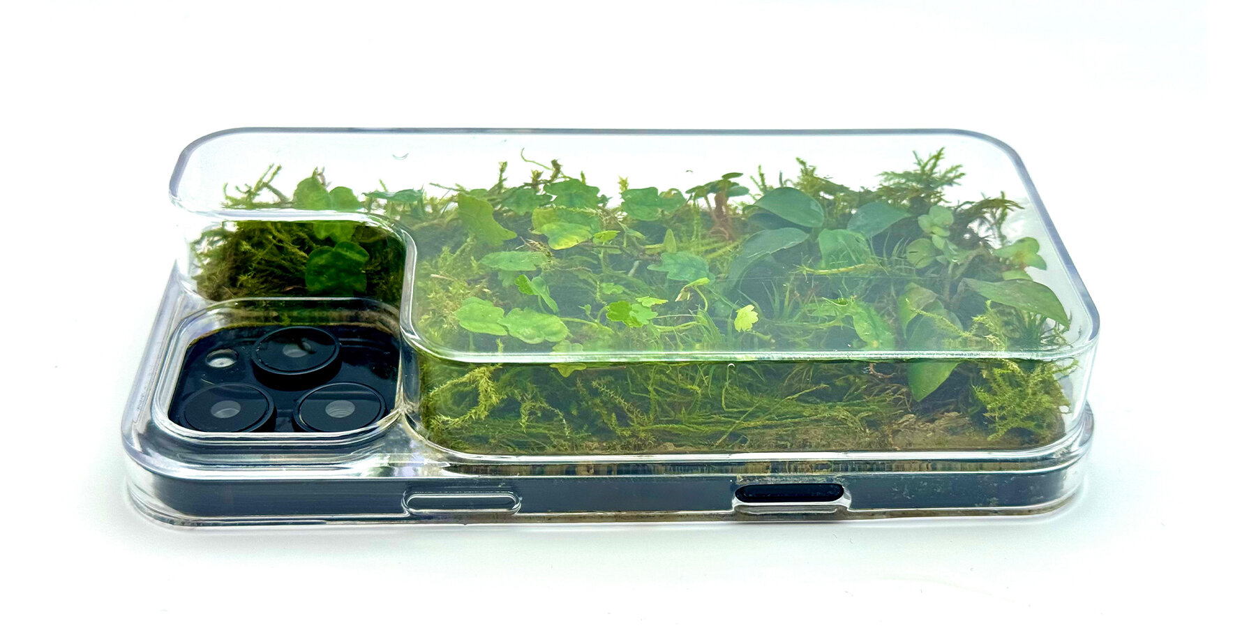 terrarium-phone-case-daniel-idle-planted-environment-smartphone-designboom-1800-3