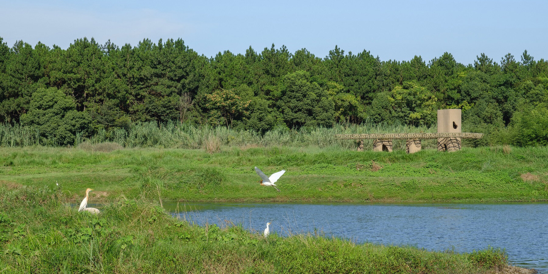 wetland-caves-pavilion-studio-10-concrete-bamboo-chuanchang-island-china-designboom-1800-2