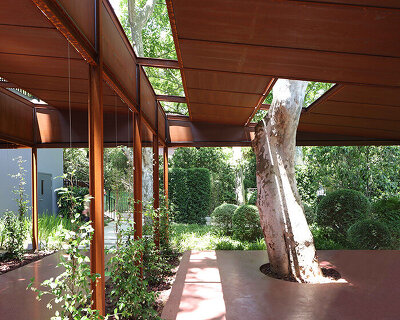 trees grow through this rust-colored coffee shed in a shanghai park