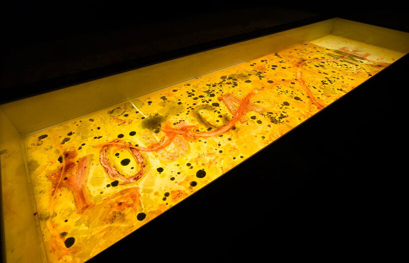 'you cannot scroll past a smell': anicka yi on microbial time and the politics of the senses - 8