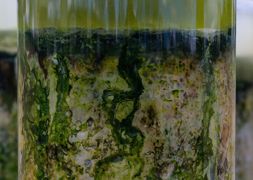 'you cannot scroll past a smell': anicka yi on microbial time and the politics of the senses - 4