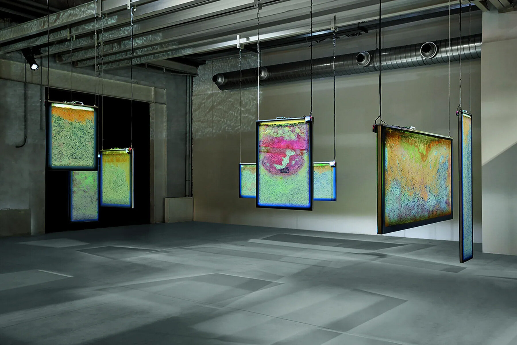 anicka-yi-microbial-time-politics-senses-interview-designboom-large02