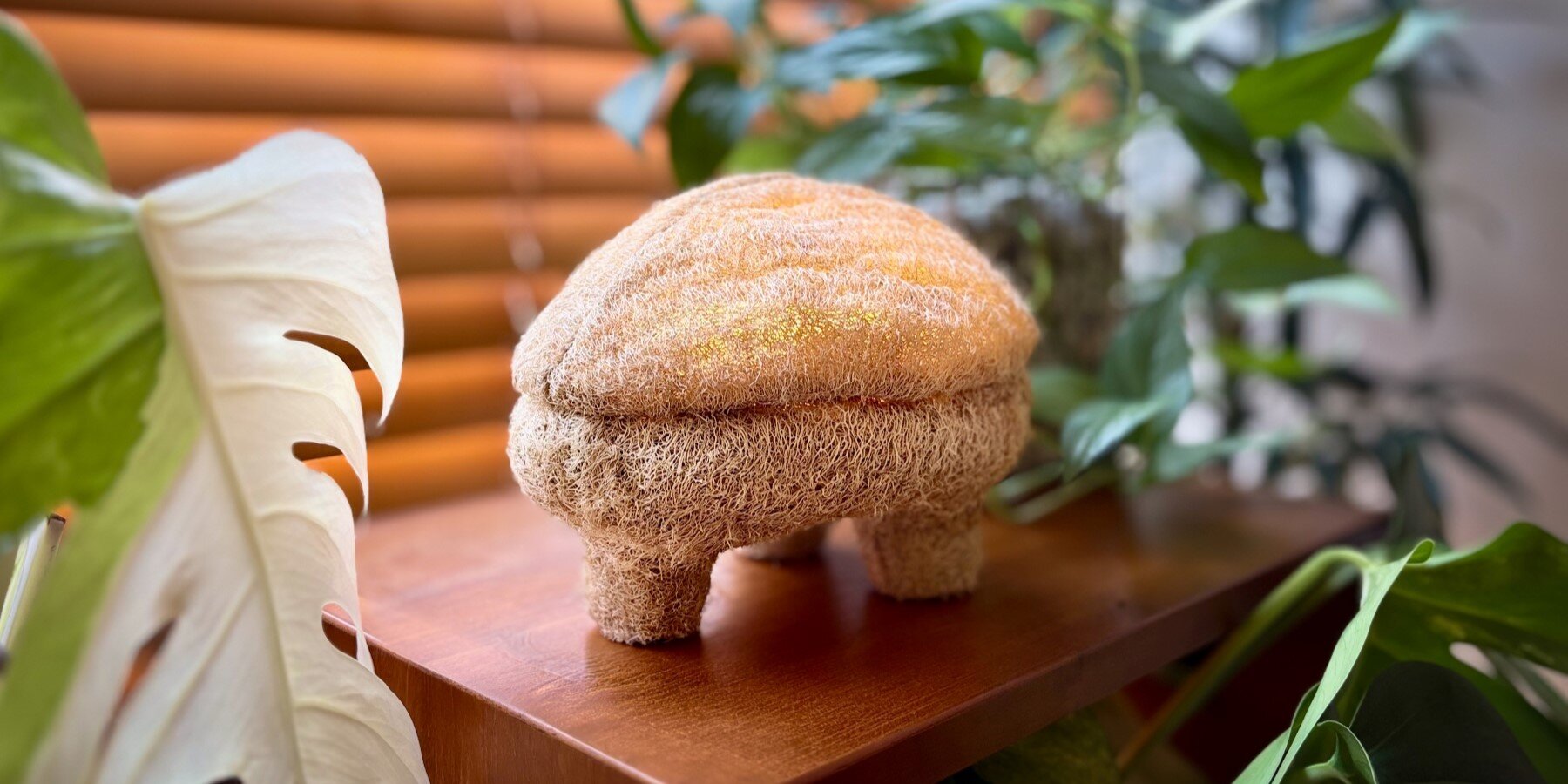 gourdo-lighting-design-justin-wan-mycelium-luffa-composite-biomaterial-mushroom-justin-wan-designboom-1800-2