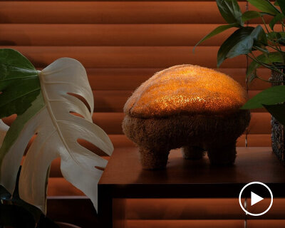 this mushroom lamp explores mycelium and luffa as composite biomaterial for lighting design