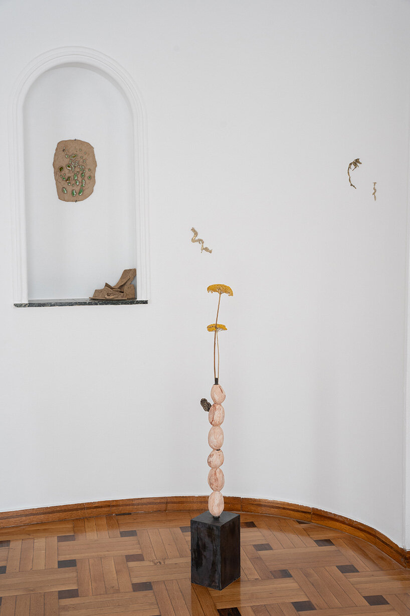 kleopatra tsali traces hidden ecologies through clay archives and silkworm networks - 15