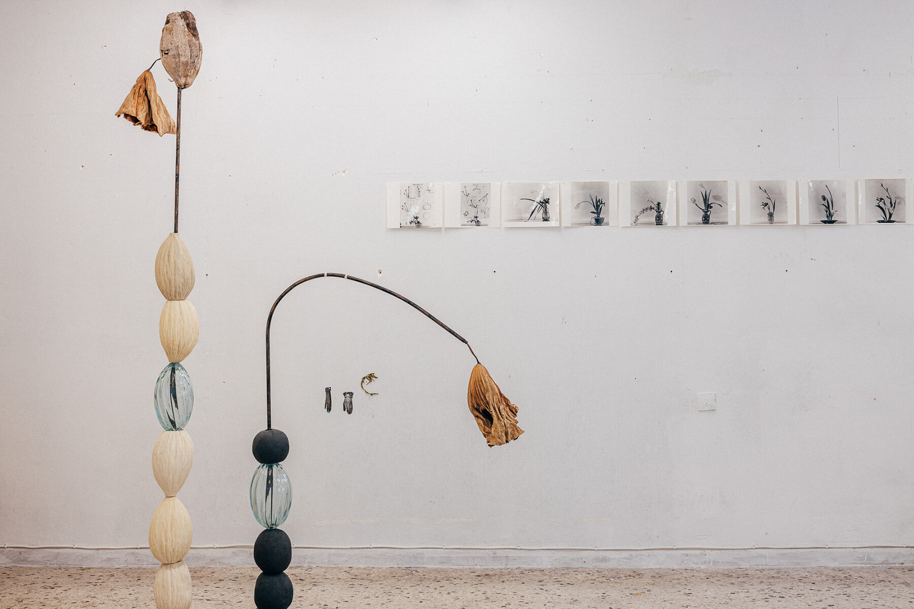 kleopatra-tsali-hidden-ecologies-clay-archives-silkworm-networks-interview-designboom-large01