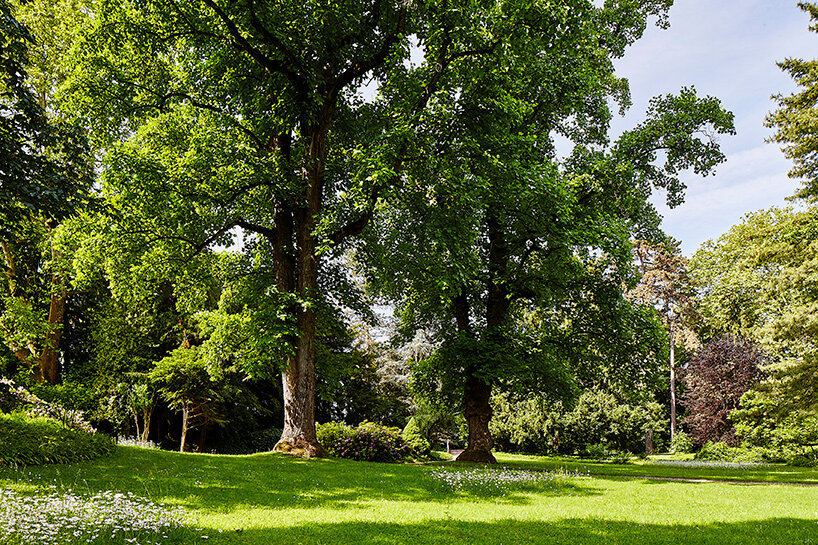Fondation Beyeler extension