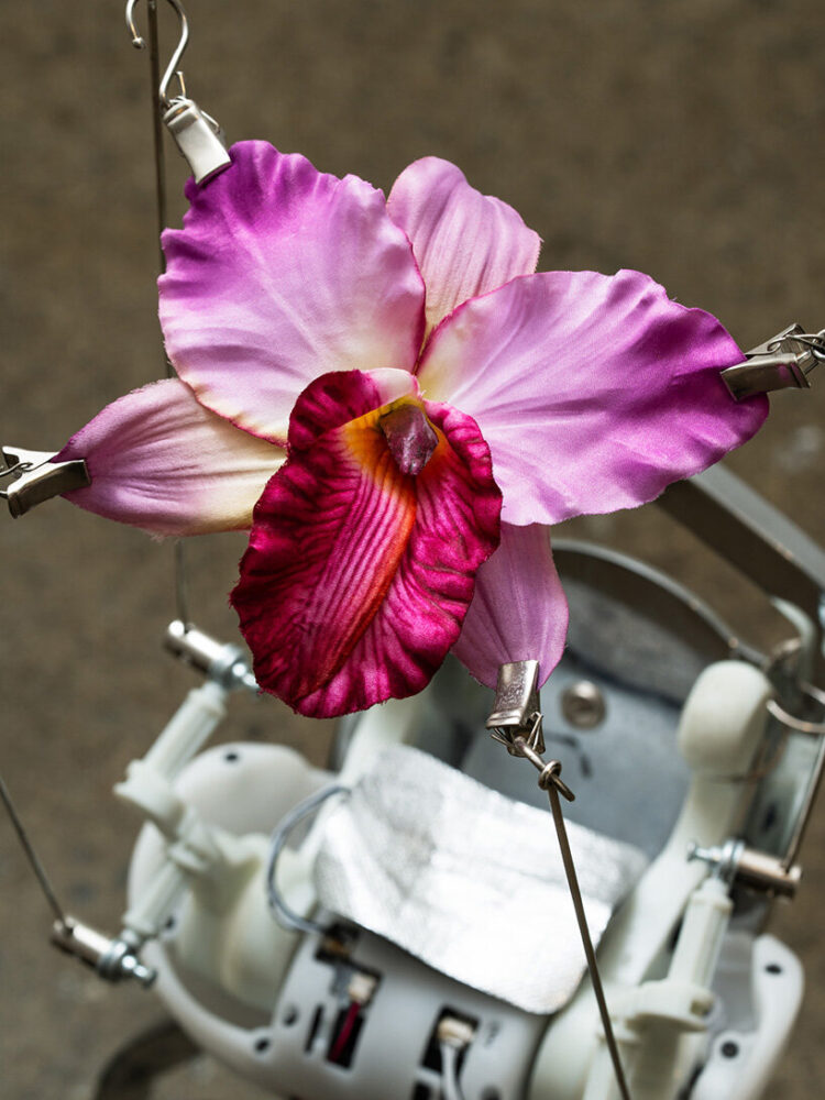 rachel youn reanimates discarded wellness devices as restless machines ...