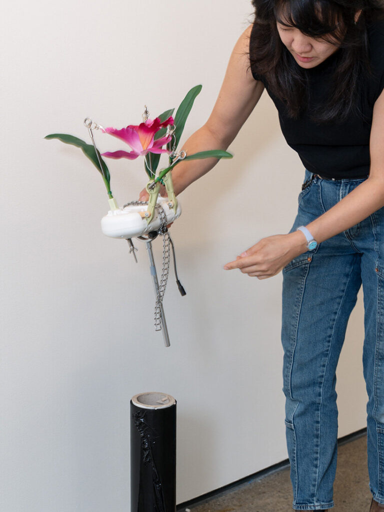 rachel youn reanimates discarded wellness devices as restless machines ...