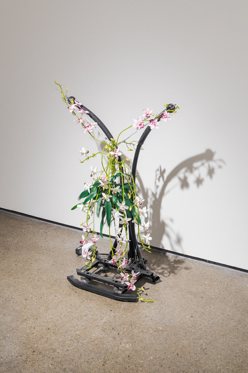 rachel youn reanimates discarded wellness devices as restless machines of care - 15