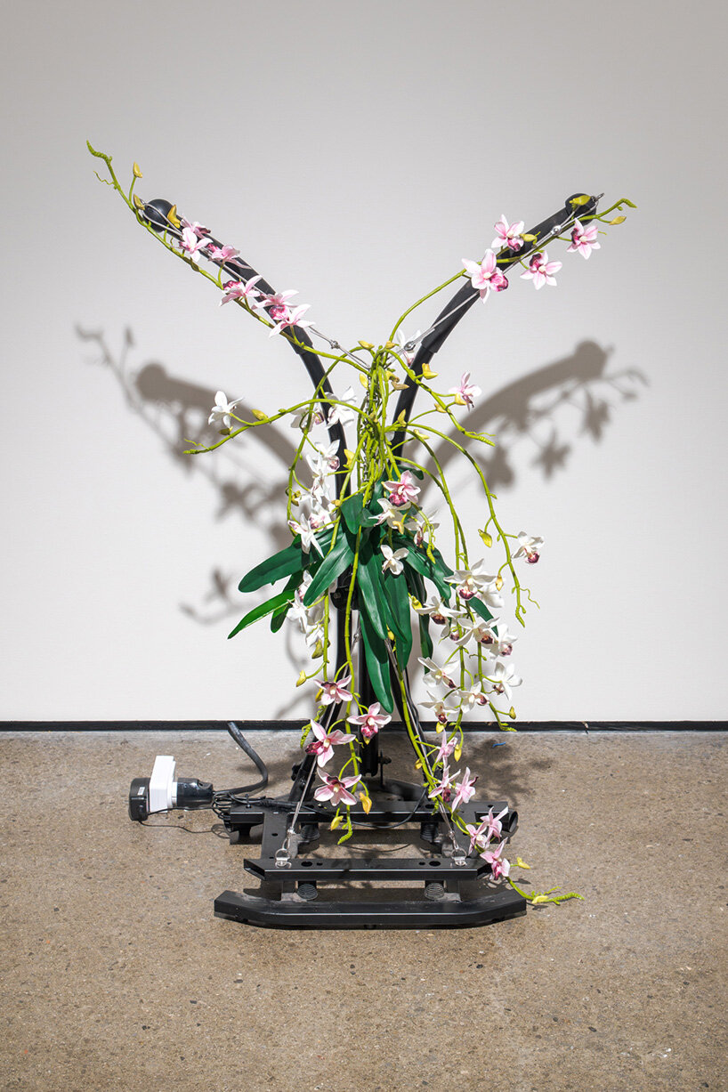 rachel youn reanimates discarded wellness devices as restless machines of care - 14