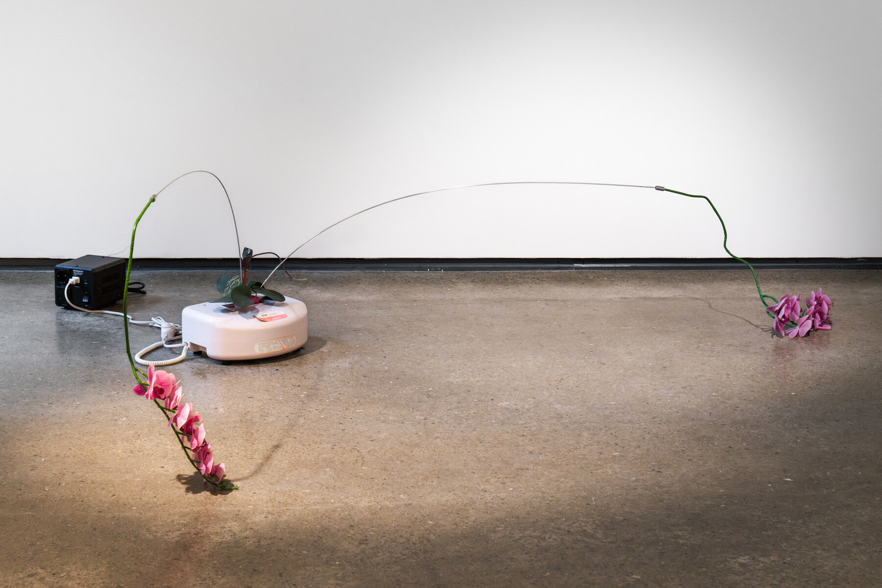 rachel-youn-discarded-wellness-devices-restless-machines-care-interview-designboom-large02