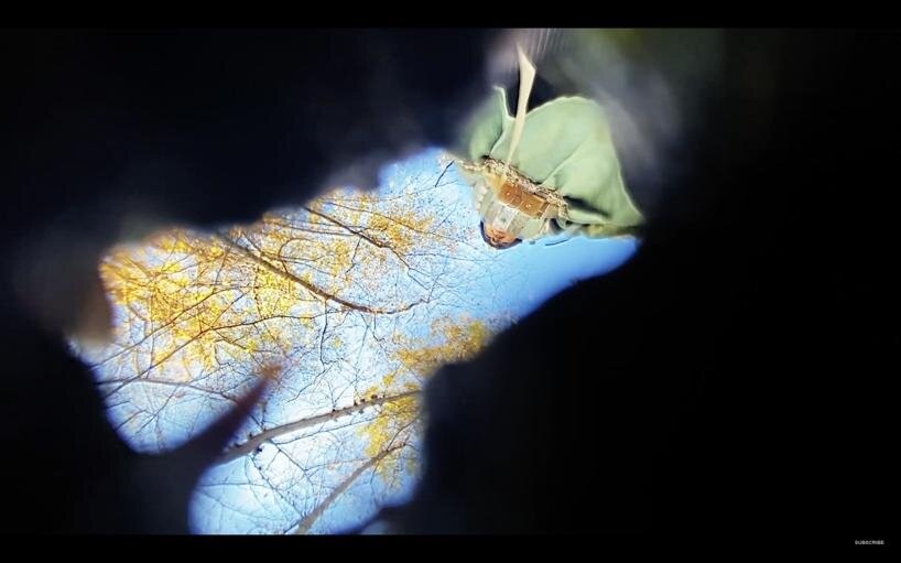 lucia pietroiusti and filipa ramos on 'the shape of a circle in the mind of a fish' - 4