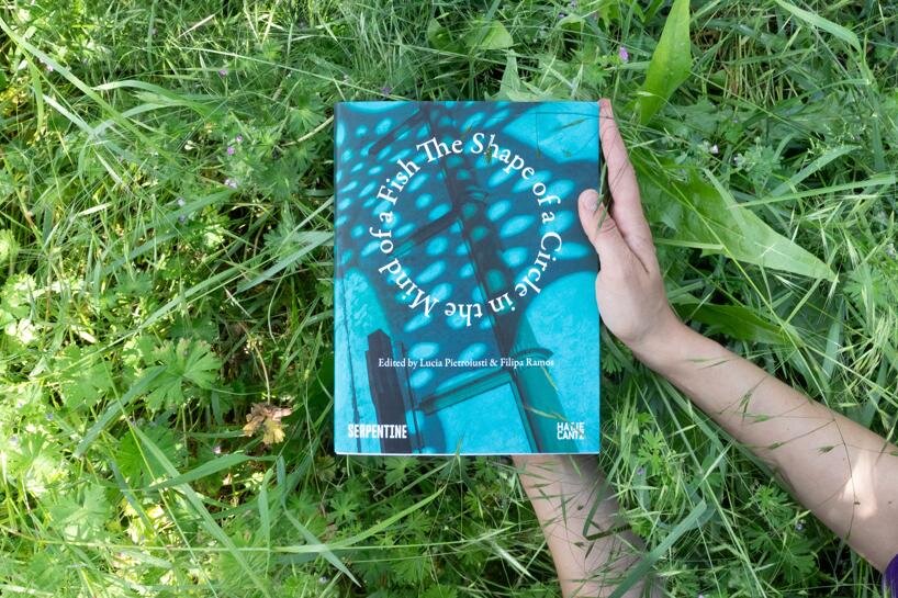 lucia pietroiusti and filipa ramos on 'the shape of a circle in the mind of a fish' - 1