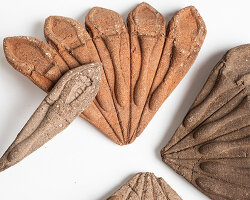 compressed soil becomes biodegradable 'terra seeds' planting kit for urban gardens