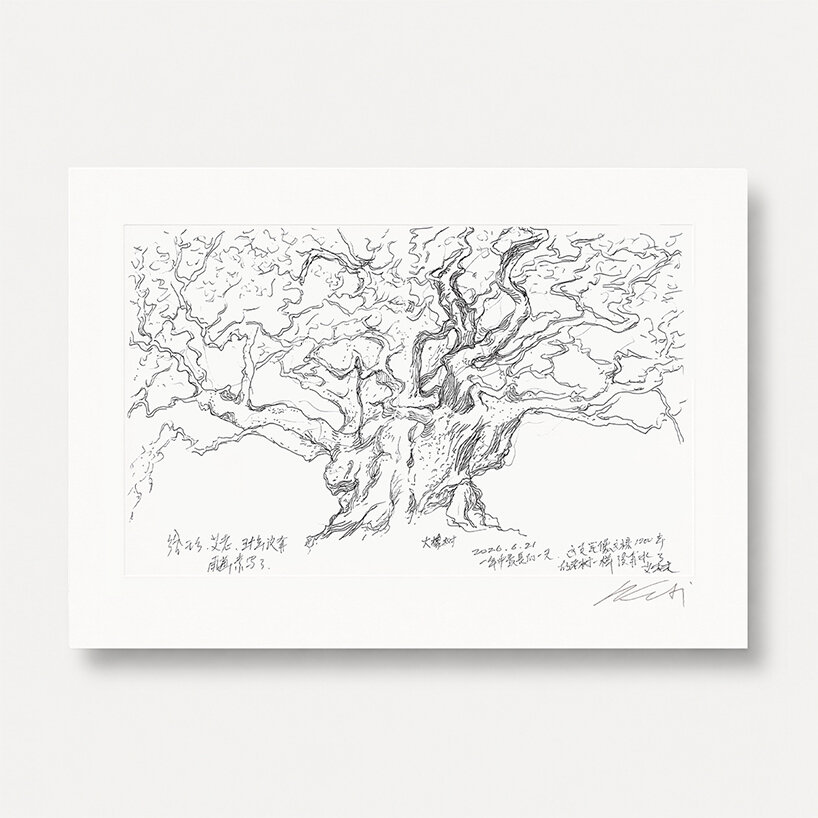 ai weiwei on why a dying tree inspired his first drawing in more than 50 years - 7
