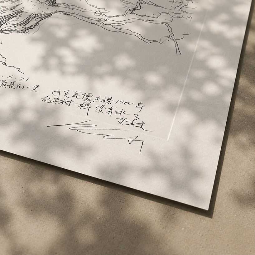 ai weiwei on why a dying tree inspired his first drawing in more than 50 years - 8