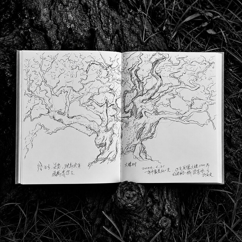 ai weiwei on why a dying tree inspired his first drawing in more than 50 years - 6
