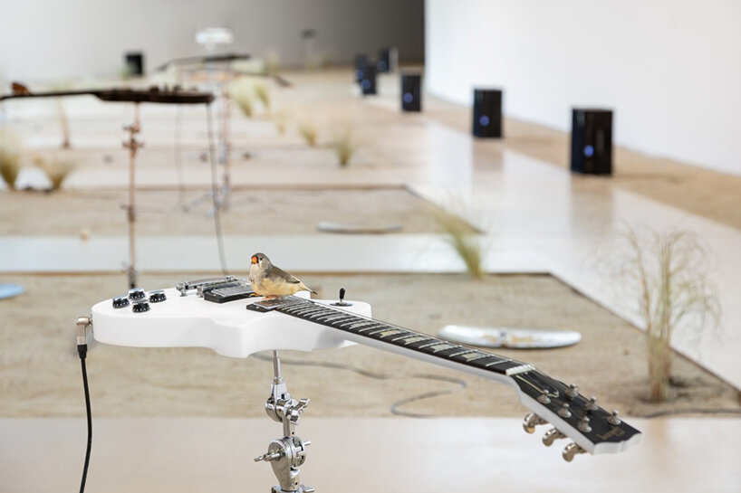designboom radar: exhibitions to see around the world this august - 7
