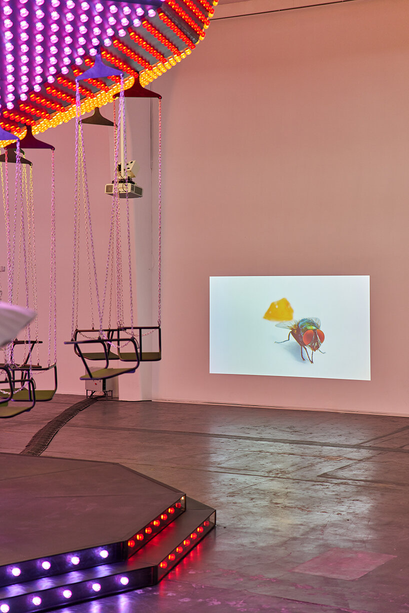 carsten höller's latest exhibition in beijing has two versions, but you'll only see one - 5