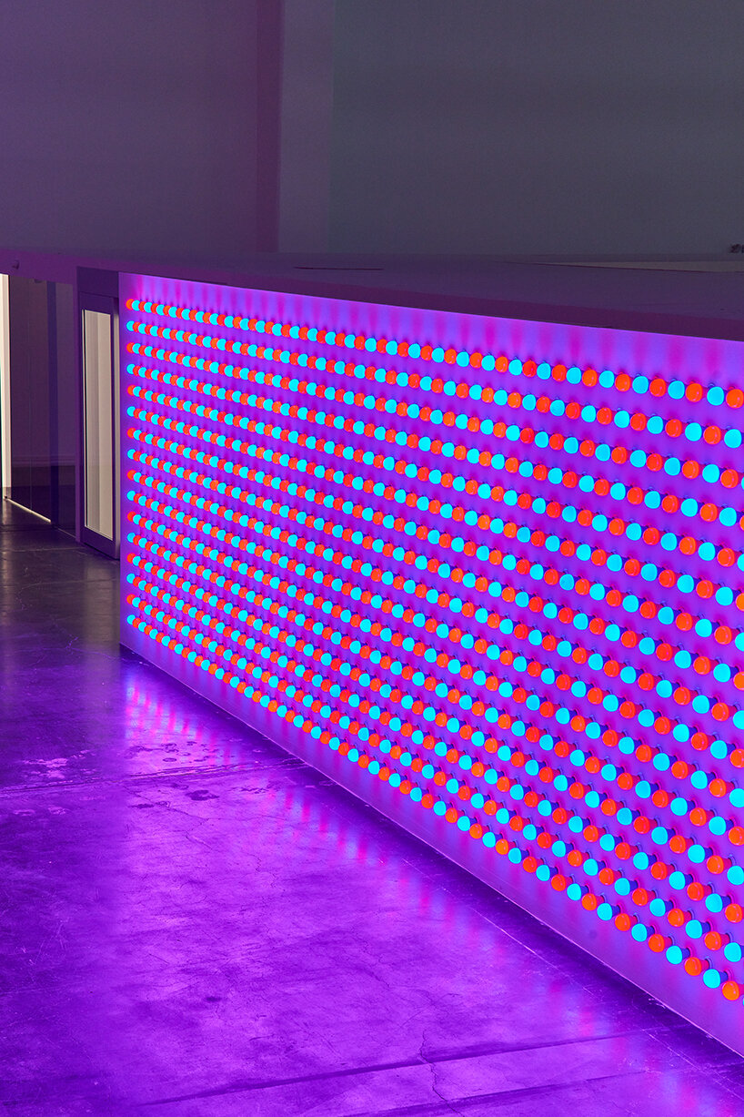 carsten höller's latest exhibition in beijing has two versions, but you'll only see one - 14