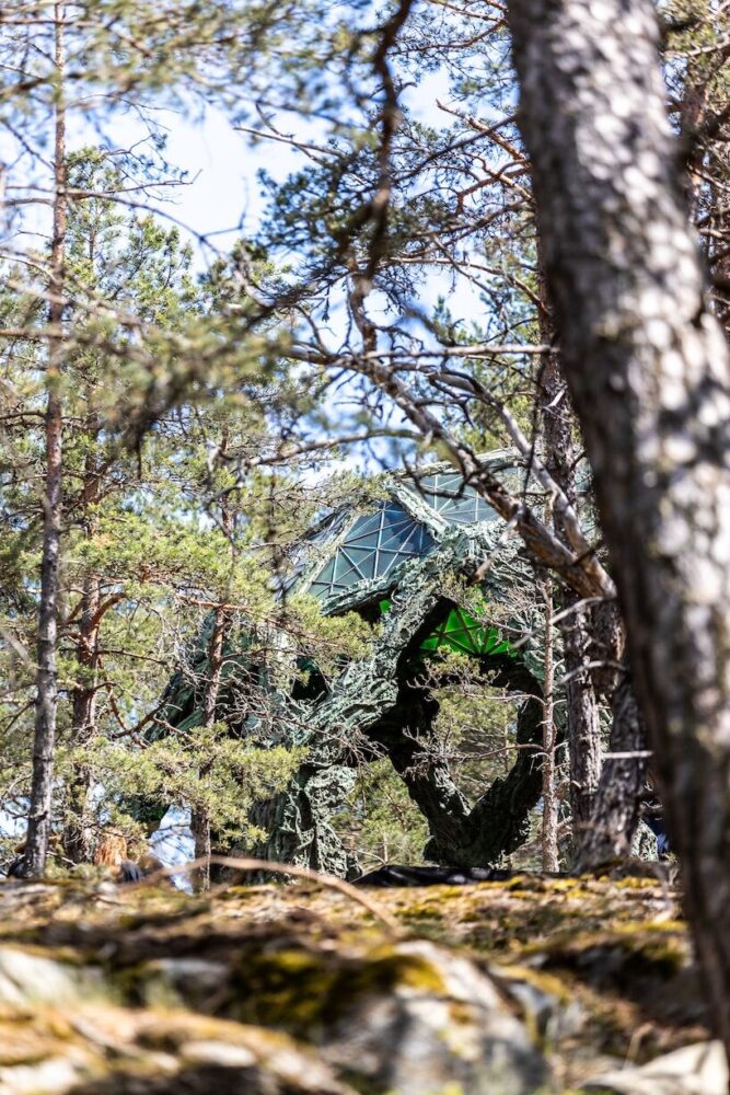cristina iglesias grows luminous northern lights dome from stockholm’s forest bedrock - 6