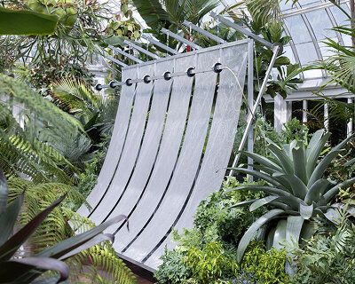 living plants grow on perforated aluminum climate installation at new york botanical garden