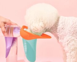 this fold-out silicone bowl snaps onto reusable water bottles for dogs on the go
