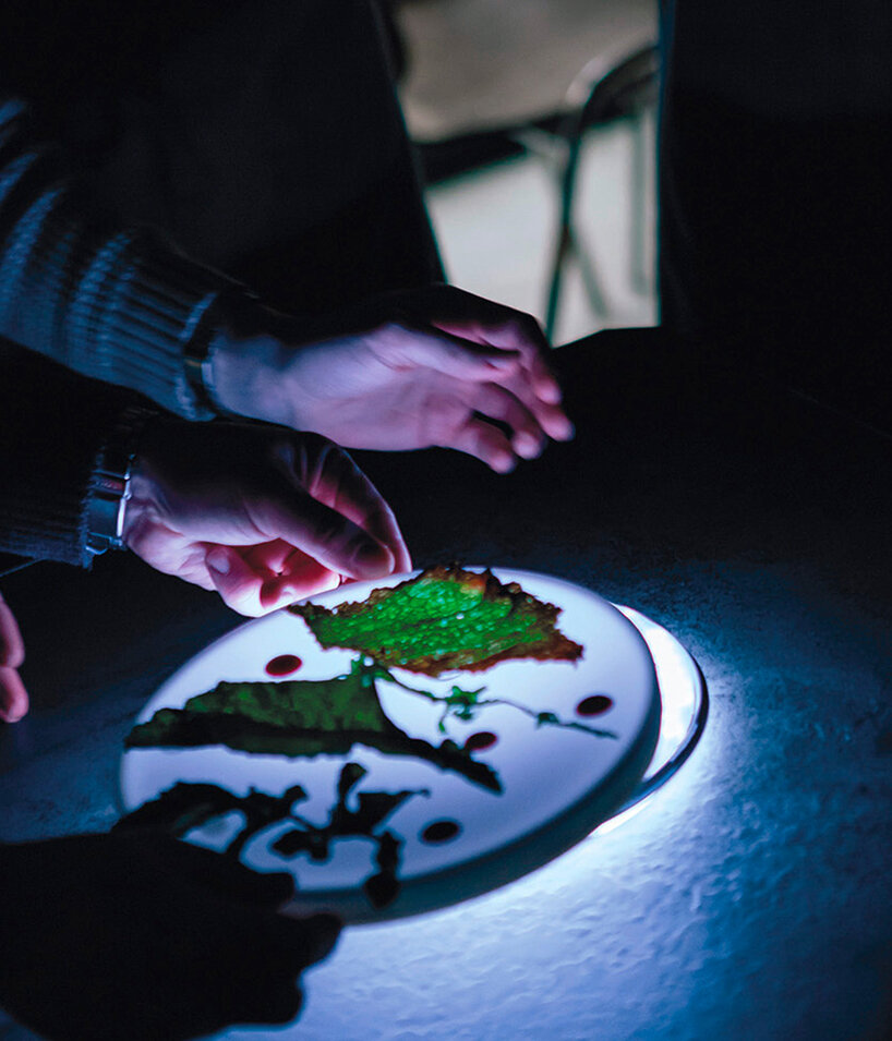 habits design transforms dining into a synchronized light performance - 2