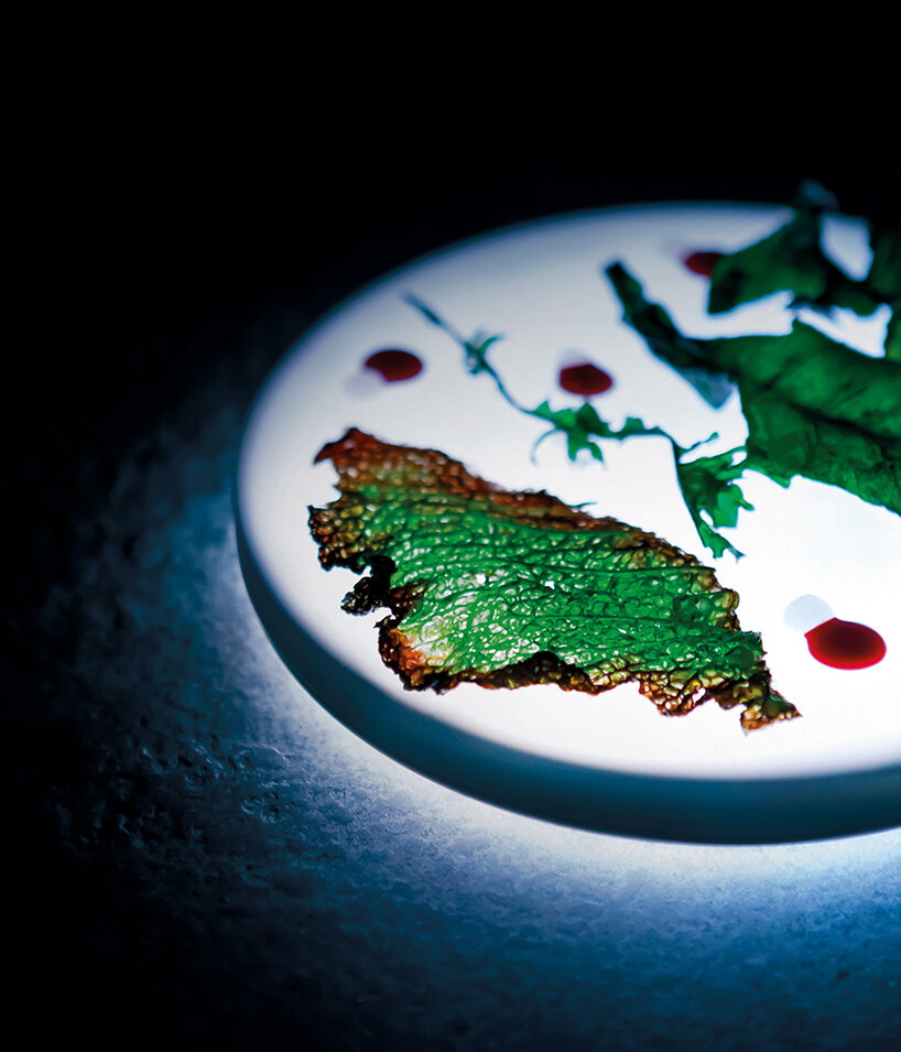 habits design transforms dining into a synchronized light performance - 7