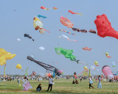 beneath a kite-filled sky in china, janice chan photographs tropical fish and noodle packets