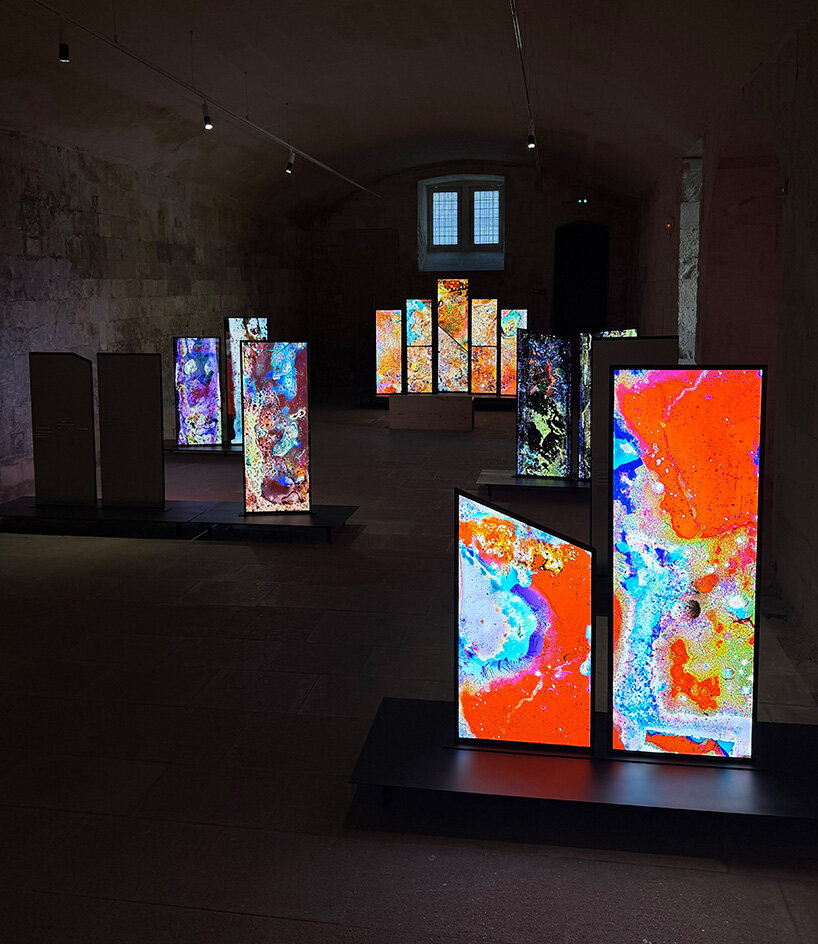 lara tabet works with bacteria to produce living images at BMW's arles exhibition - 13