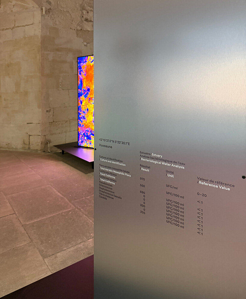 lara tabet works with bacteria to produce living images at BMW's arles exhibition - 18