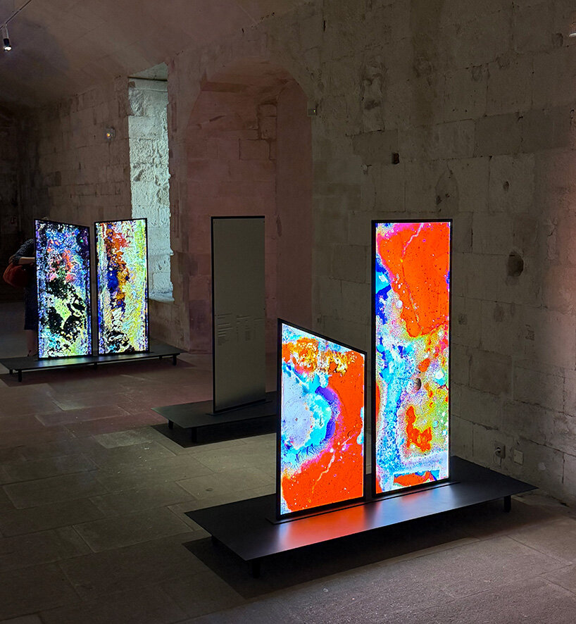 lara tabet works with bacteria to produce living images at BMW's arles exhibition - 14