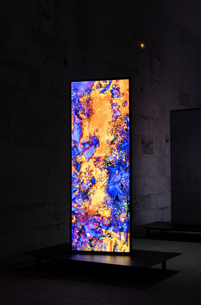 lara tabet works with bacteria to produce living images at BMW's arles exhibition - 16