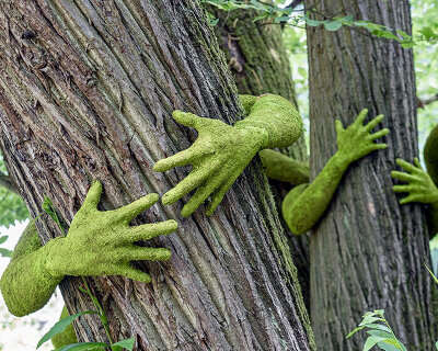 have you ever hugged a tree? monsieur plant wraps sculptural human arms around trees