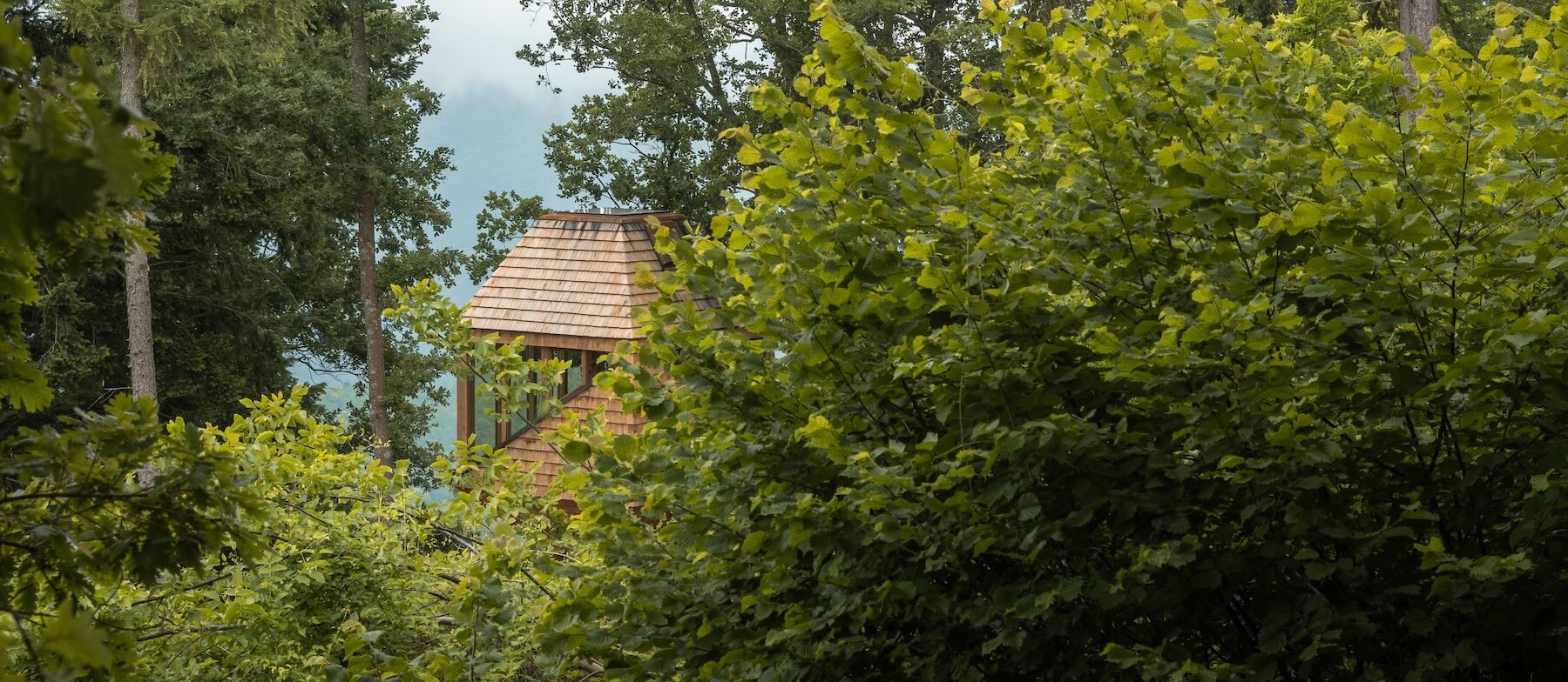 officina82-traditional-italian-hay-barn-timber-treetop-retreat-ligurian-alps-designboom-023234