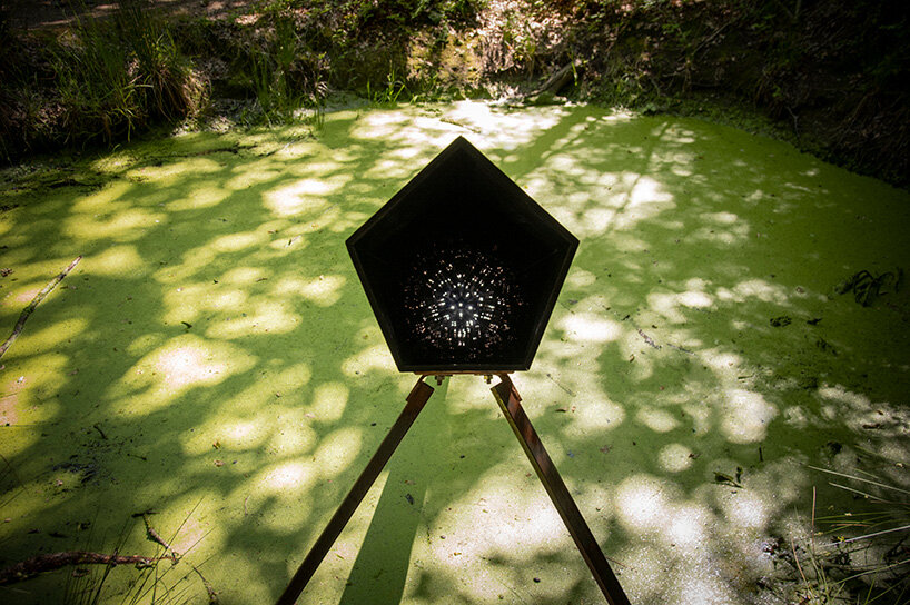 teresa van dongen reflects on design through living systems - 1