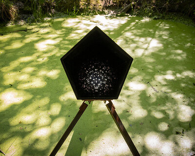 teresa van dongen reflects on design through living systems