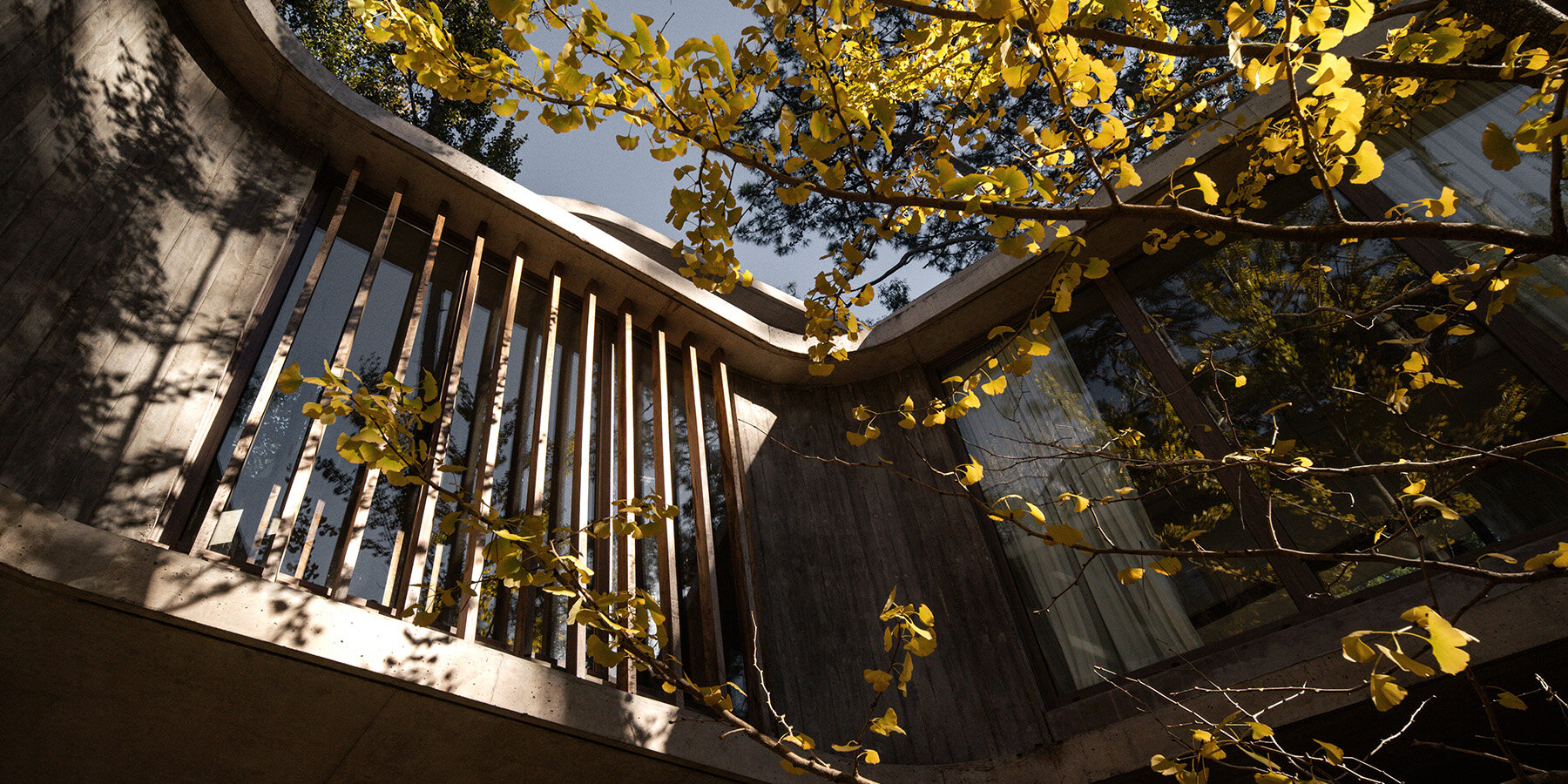 treinta-y-nueve-arboles-house-grizzo-studio-carilo-argentina-designboom-1800-3