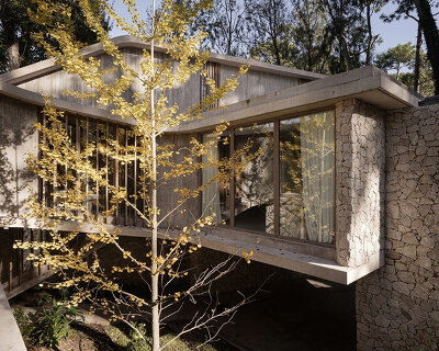 elevated glazed walkways frame house’s panoramic views through cariló's forest in argentina