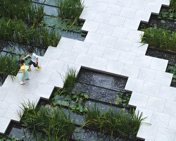 a garden-within-a-garden unfolds through water, translucent pavilions, and green courtyards