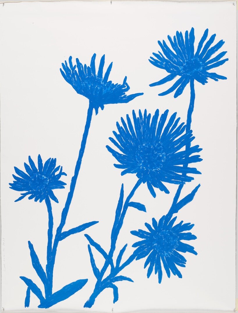 anne loch magnifies flowers, sheep and mountains at zentrum paul klee in switzerland - 5