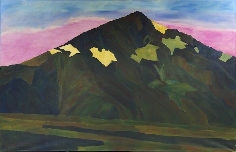 anne loch magnifies flowers, sheep and mountains at zentrum paul klee in switzerland - 6