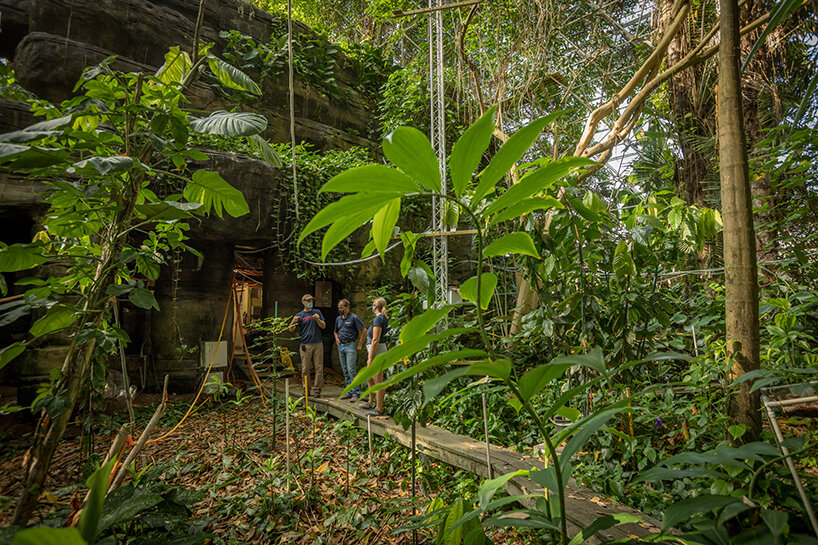 biosphere 2: what happens when humans try to recreate earth? - 9