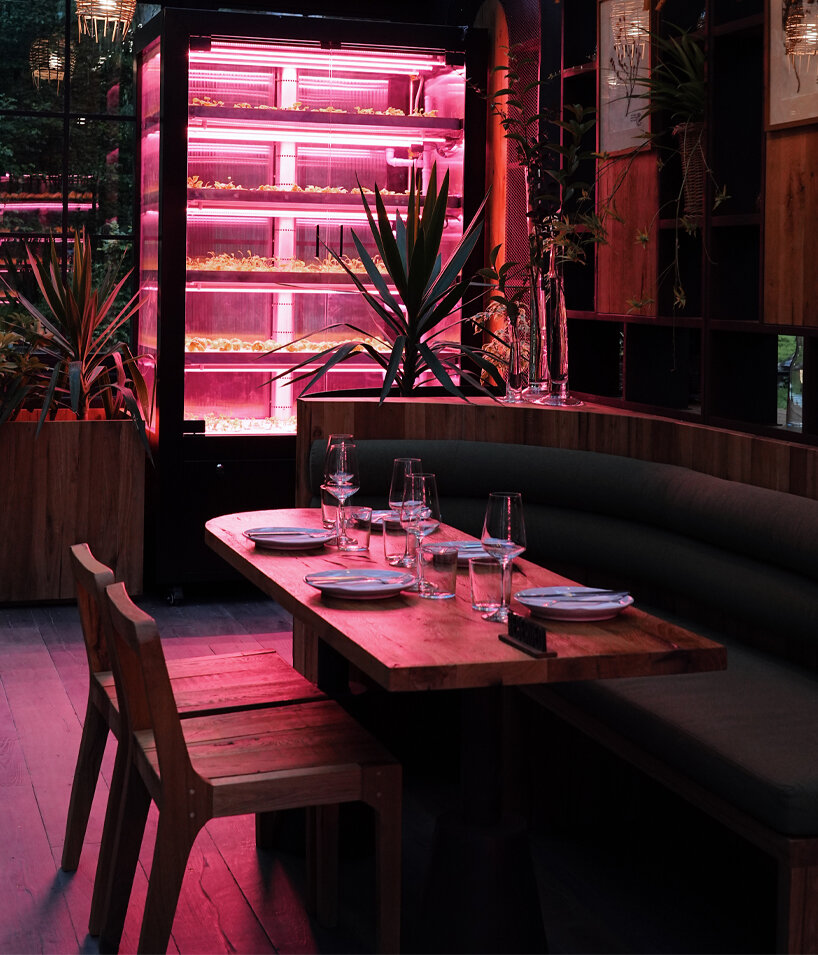 contemporary orangery reimagines ancient botanical mythology of hecate’s garden - 5