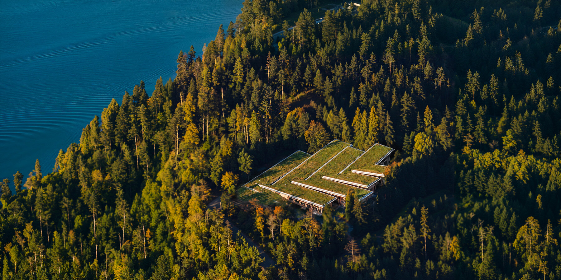 luca-fontanas-mass-timber-plank-factory-choreographs-rainwater-in-vancouver-1-6a89fb9de35ed